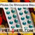 Pilules De Rhinocéros Bleu dapoxetine2